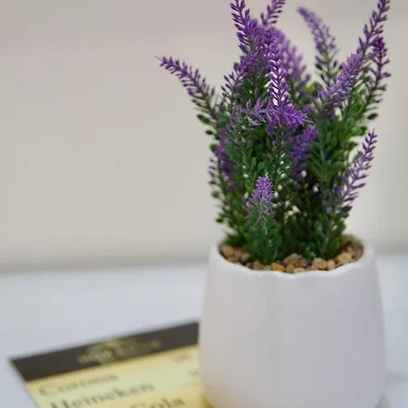 Hotel Bar Mokador Shkodra