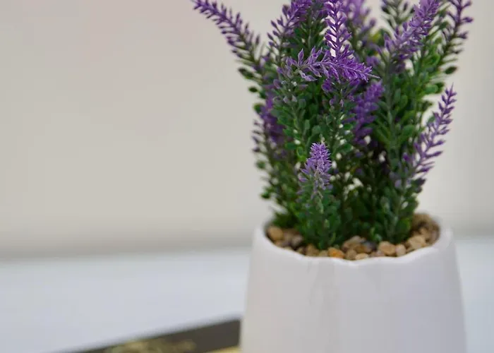 Ξενοδοχείο Bar Mokador Σκόδρα